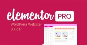 Elementor PRO WordPress Plugin Free Download