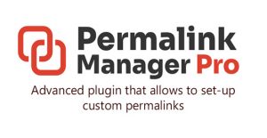 Permalink Manager Pro WordPress Plugin Free Download