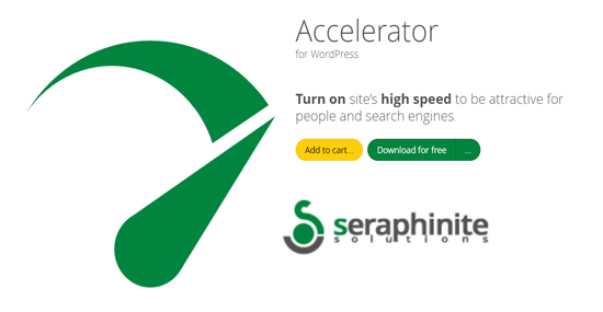 Seraphinite Accelerator Premium Plugin for WordPress
